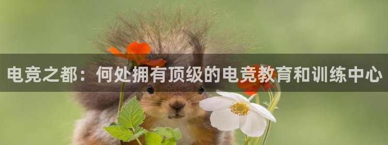 一竞技官网：电竞之都：何处拥有顶级的电竞教育和训练中心
