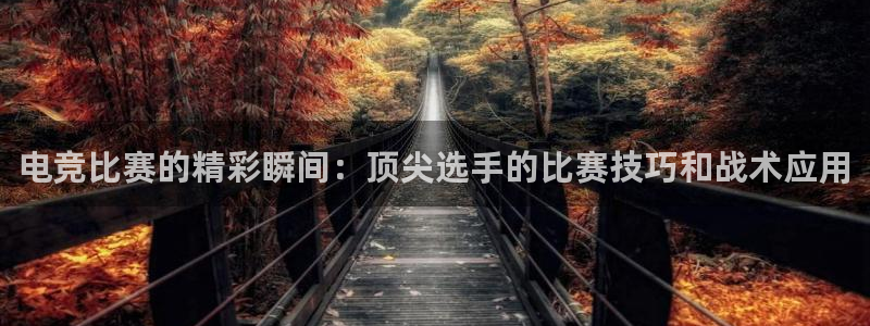 一竞技官网：电竞比赛的精彩瞬间：顶尖选手的比赛技巧和战术应用