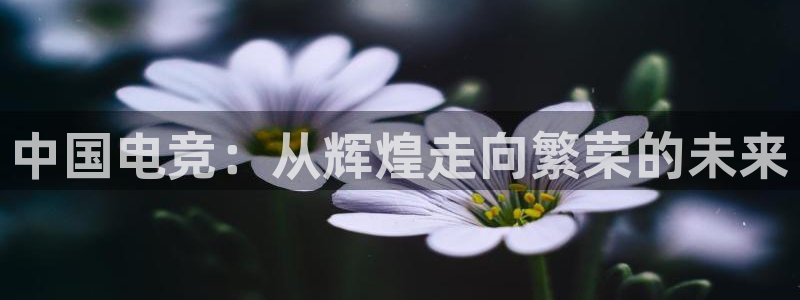 一竞技app下载安装：中国电竞：从辉煌走向繁荣的未来