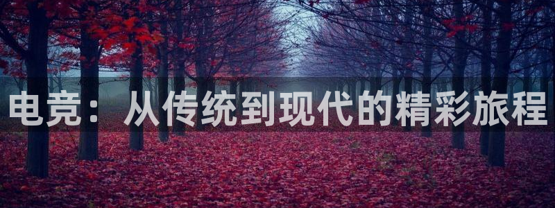 一竞技官网地址：电竞：从传统到现代的精彩旅程