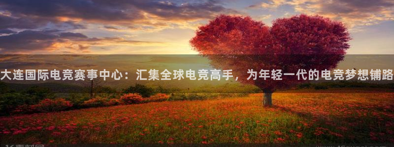 一竞技官网：大连国际电竞赛事中心：汇集全球电竞高手，为年轻一代的电竞梦想铺路