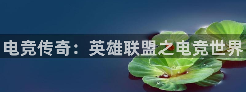 一竞技