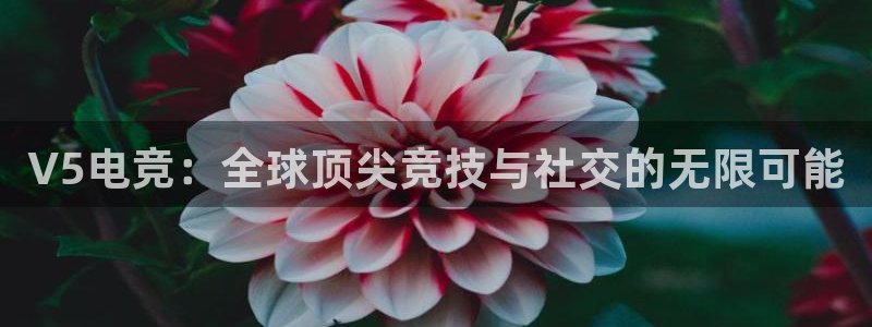一竞技网址：V5电竞：全球顶尖竞技与社交的无限可能