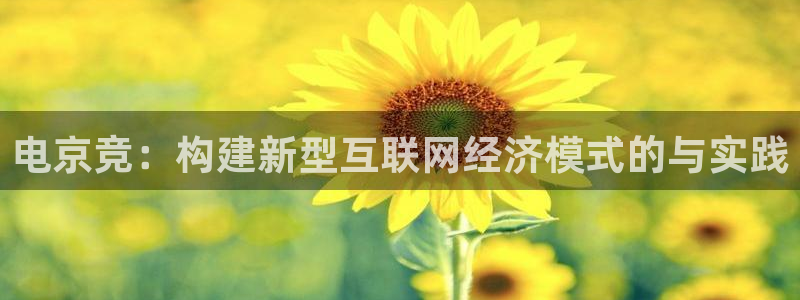 一竞技网址：电京竞：构建新型互联网经济模式的与实践
