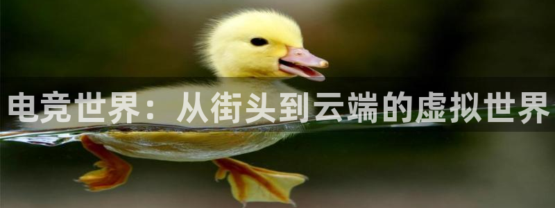 一竞技官网地址：电竞世界：从街头到云端的虚拟世界