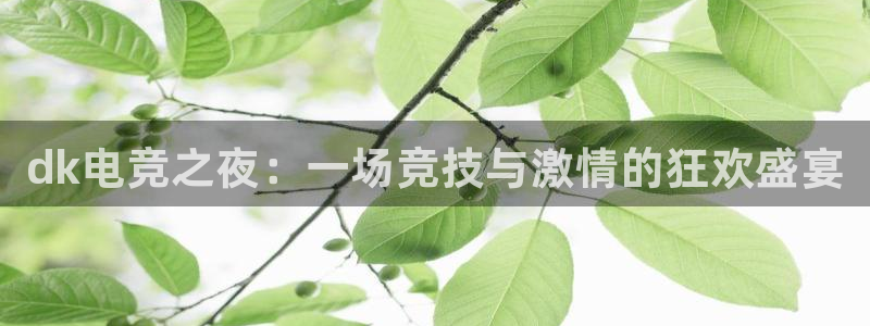 一竞技官网：dk电竞之夜：一场竞技与激情的狂欢盛宴