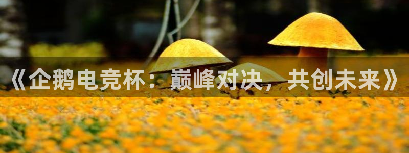 一竞技app下载安装：《企鹅电竞杯：巅峰对决，共创未来》