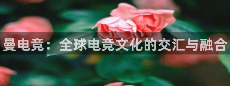 一竞技网址：曼电竞：全球电竞文化的交汇与融合