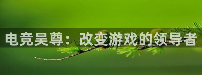 一竞技平台：电竞吴尊：改变游戏的领导者