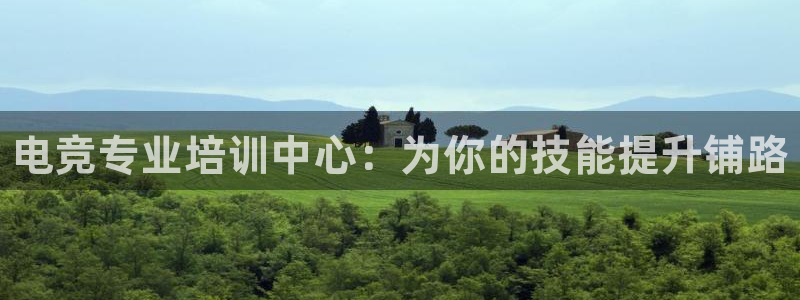 一竞技app下载：电竞专业培训中心：为你的技能提升铺路