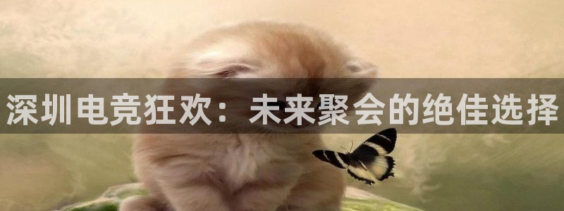 一竞技官网：深圳电竞狂欢：未来聚会的绝佳选择
