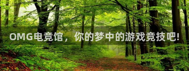一竞技官网：OMG电竞馆，你的梦中的游戏竞技吧!