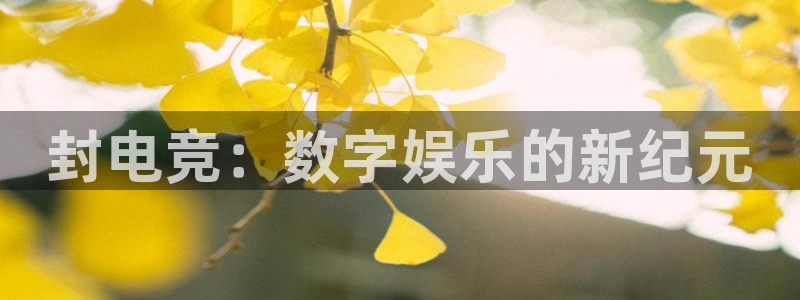 一竞技官网：封电竞：数字娱乐的新纪元