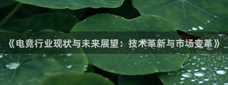 一竞技app下载：《电竞行业现状与未来展望：技术革新与市场变革》