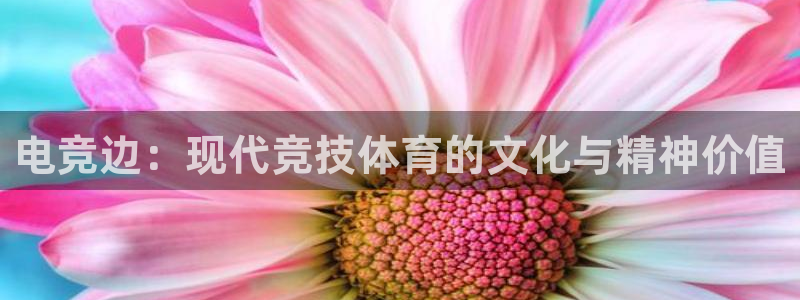 一竞技平台：电竞边：现代竞技体育的文化与精神价值