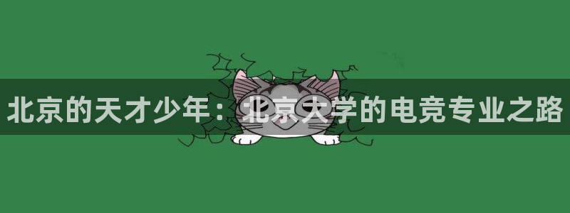 一竞技app：北京的天才少年：北京大学的电竞专业之路