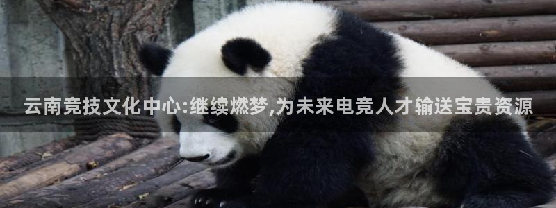 一竞技app下载安装：云南竞技文化中心:继续燃梦,为未来电竞人才输送宝贵资源