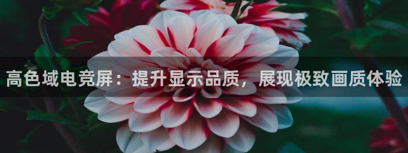 一竞技app下载安装：高色域电竞屏：提升显示品质，展现极致画质体验