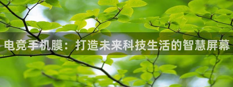 一竞技app：电竞手机膜：打造未来科技生活的智慧屏幕