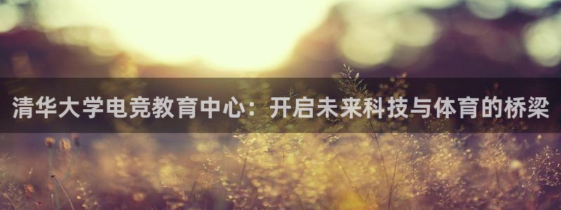 一竞技网址：清华大学电竞教育中心：开启未来科技与体育的桥梁