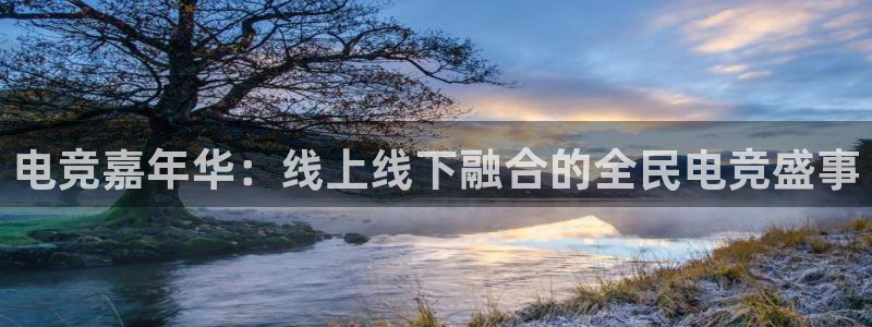 一竞技官网地址：电竞嘉年华：线上线下融合的全民电竞盛事