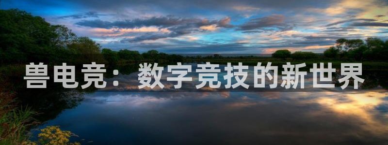 一竞技官网下载：兽电竞：数字竞技的新世界