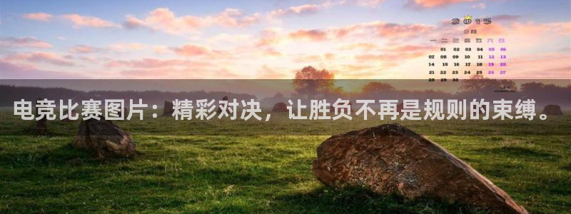 一竞技app下载：电竞比赛图片：精彩对决，让胜负不再是规则的束缚。