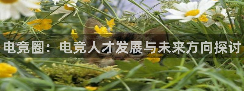 一竞技官网下载：电竞圈：电竞人才发展与未来方向探讨