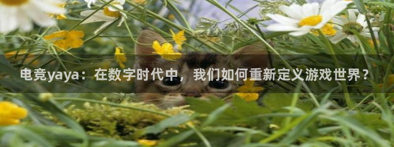 一竞技网址：电竞yaya：在数字时代中，我们如何重新定义游戏世界？