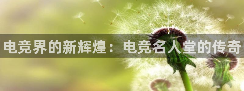 一竞技官网下载：电竞界的新辉煌：电竞名人堂的传奇