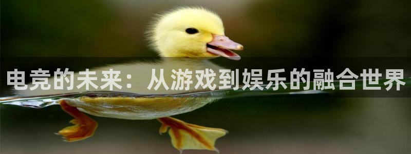 一竞技：电竞的未来：从游戏到娱乐的融合世界