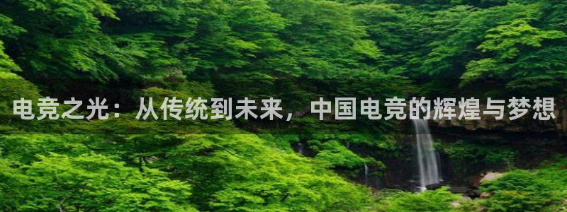 一竞技平台：电竞之光：从传统到未来，中国电竞的辉煌与梦想