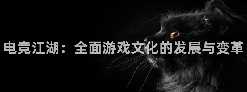 一竞技官网：电竞江湖：全面游戏文化的发展与变革