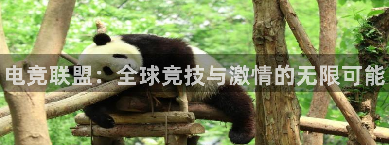 一竞技平台：电竞联盟：全球竞技与激情的无限可能