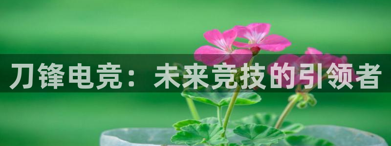 一竞技app下载：刀锋电竞：未来竞技的引领者