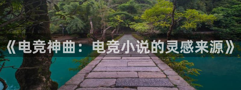一竞技平台：《电竞神曲：电竞小说的灵感来源》