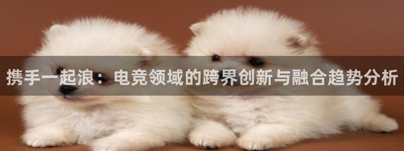 一竞技app：携手一起浪：电竞领域的跨界创新与融合趋势分析