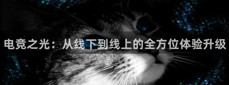 一竞技官网：电竞之光：从线下到线上的全方位体验升级