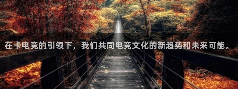 一竞技app下载安装：在卡电竞的引领下，我们共同电竞文化的新趋势和未来可能。
