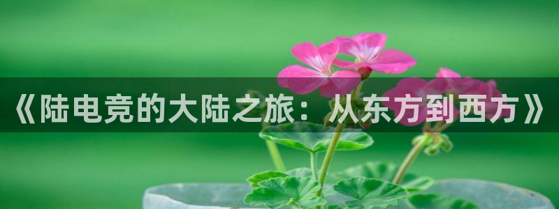 一竞技app下载：《陆电竞的大陆之旅：从东方到西方》