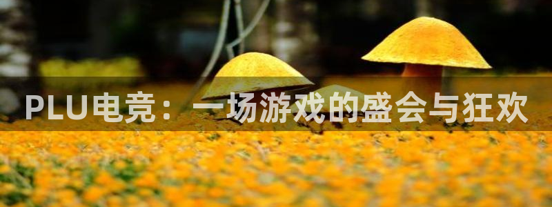 一竞技：PLU电竞：一场游戏的盛会与狂欢