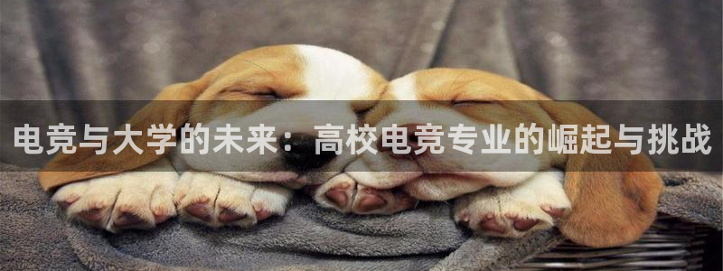一竞技app：电竞与大学的未来：高校电竞专业的崛起与挑战