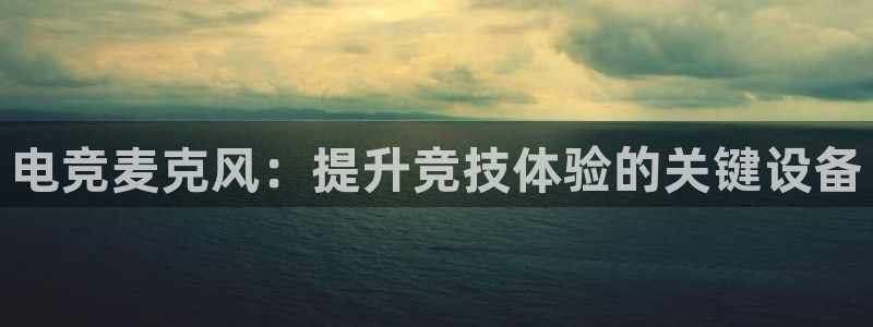 一竞技平台：电竞麦克风：提升竞技体验的关键设备