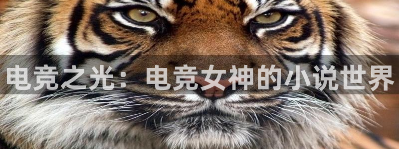 一竞技官网下载：电竞之光：电竞女神的小说世界