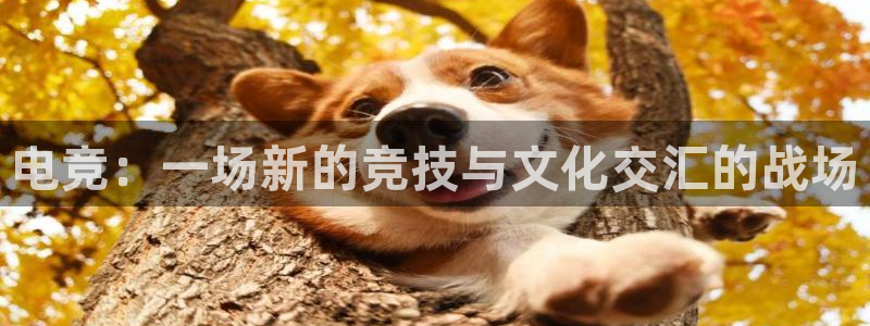 一竞技app：电竞：一场新的竞技与文化交汇的战场