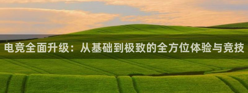 一竞技app：电竞全面升级：从基础到极致的全方位体验与竞技