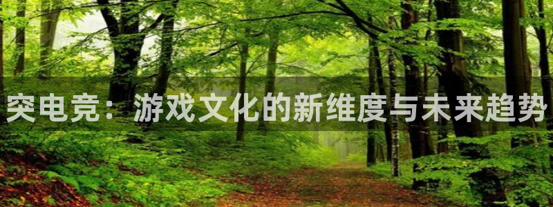 一竞技：突电竞：游戏文化的新维度与未来趋势