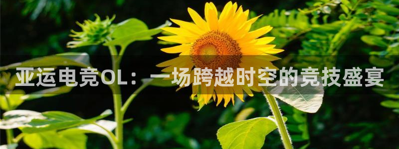 一竞技平台：亚运电竞OL：一场跨越时空的竞技盛宴