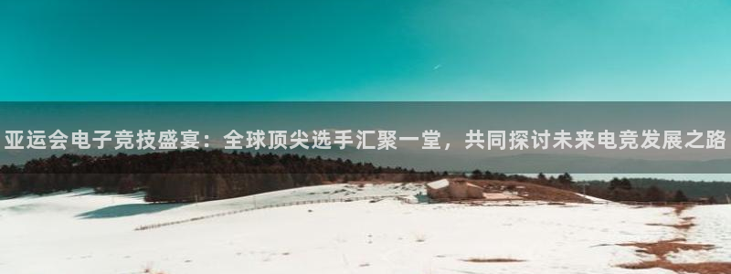 一竞技平台：亚运会电子竞技盛宴：全球顶尖选手汇聚一堂，共同探讨未来电竞发展之路
