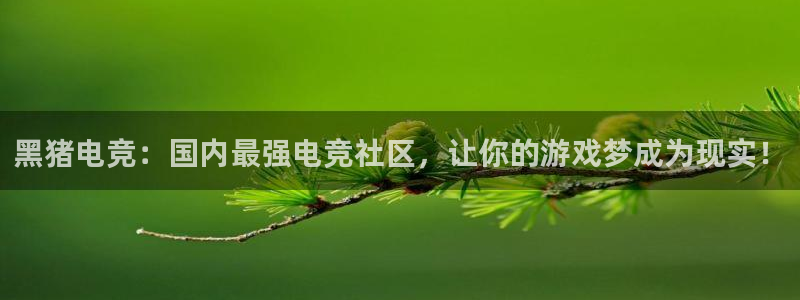 一竞技app下载安装：黑猪电竞：国内最强电竞社区，让你的游戏梦成为现实！